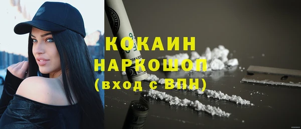 стаф Алексин