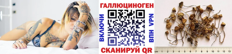 Псилоцибиновые грибы GOLDEN TEACHER  Ангарск 